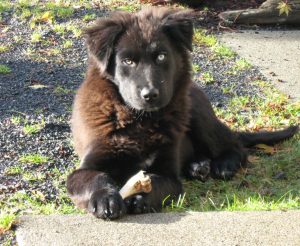 D7BA3DA9-B426-4D27-82CC-19F8285B9CB6